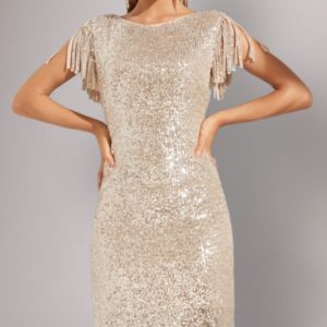 Silver Sequin Midi Dress